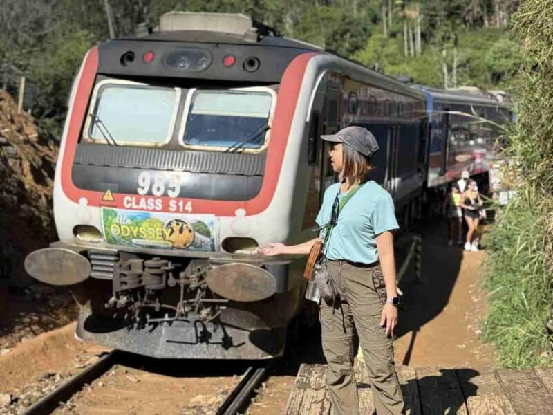 Ella Scenic Train Journey: Reserved E Tickets from Ambewela - FAQ