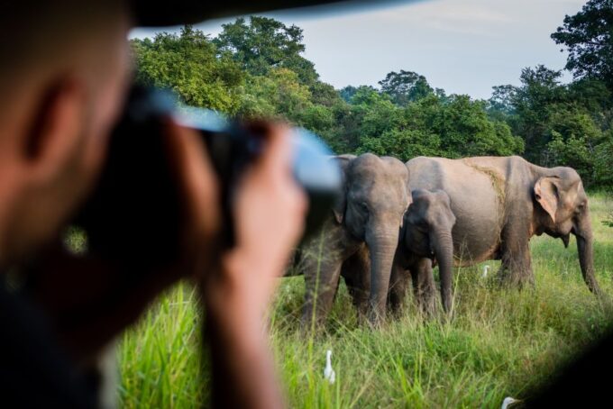 Ella: Shuttle to Mirissa/Galle/Hikkaduwa & Udawalawa Safari - Frequently Asked Questions