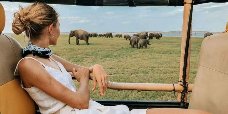 Ella: Shuttle to Tangalle/Mirissa/Galle w Udawalawe Safari - Authentic Experiences & Practical Tips