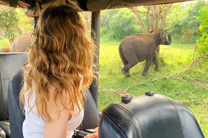 Ella Sight Seeing & Sri Lanka Tours - Tour Duration and Activity Schedule