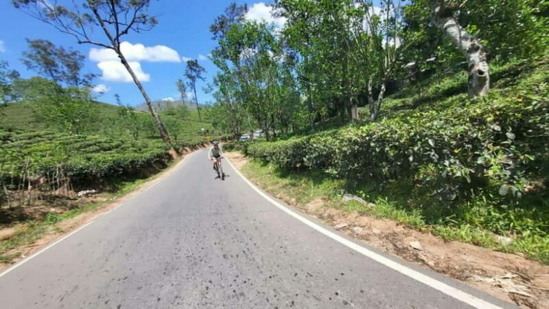 Ella, Sri Lanka Cycle Zone Bike Tour - The Sum Up