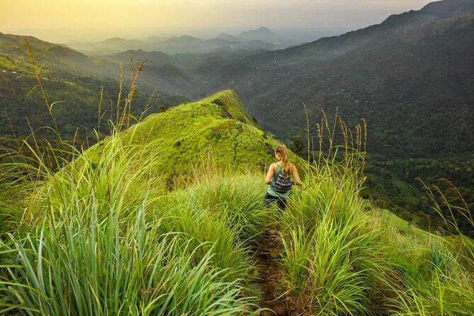 Ella Sri Lanka Sightseeing Tour by Tuk Tuk Or Mini Van - Customer Feedback