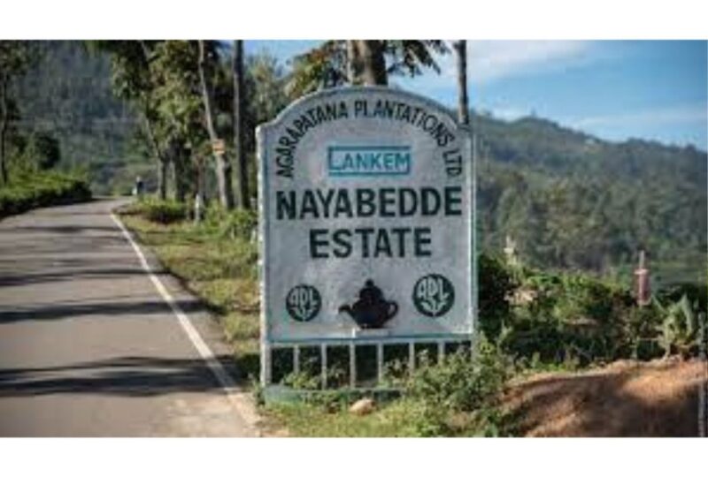 Ella: St. Catherine Seat to Makulella, Pekoe Trail- Stage 14 - Key Points