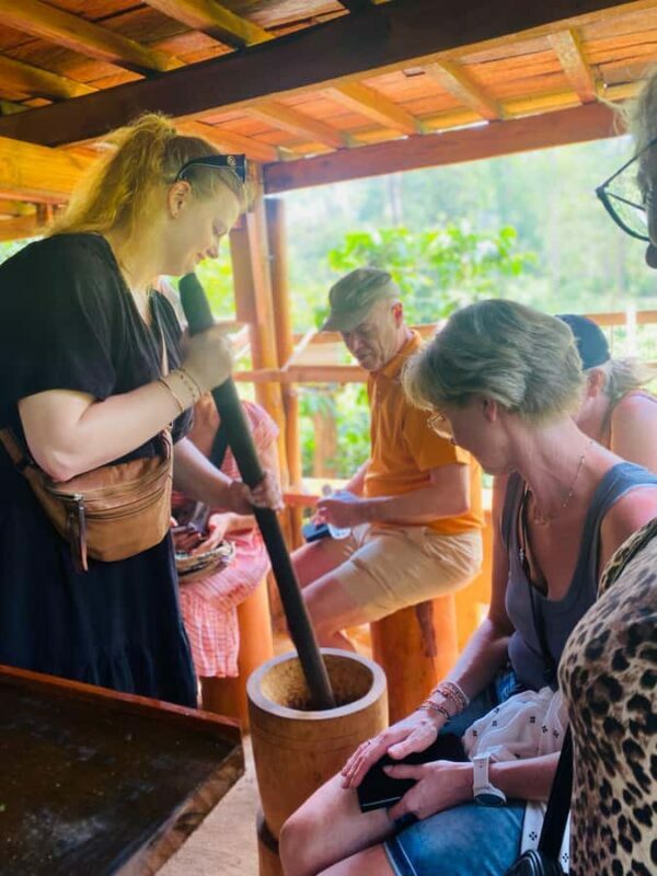 Ella: Tea-Making Experience Tour with Tasting & Snacks - Key Points