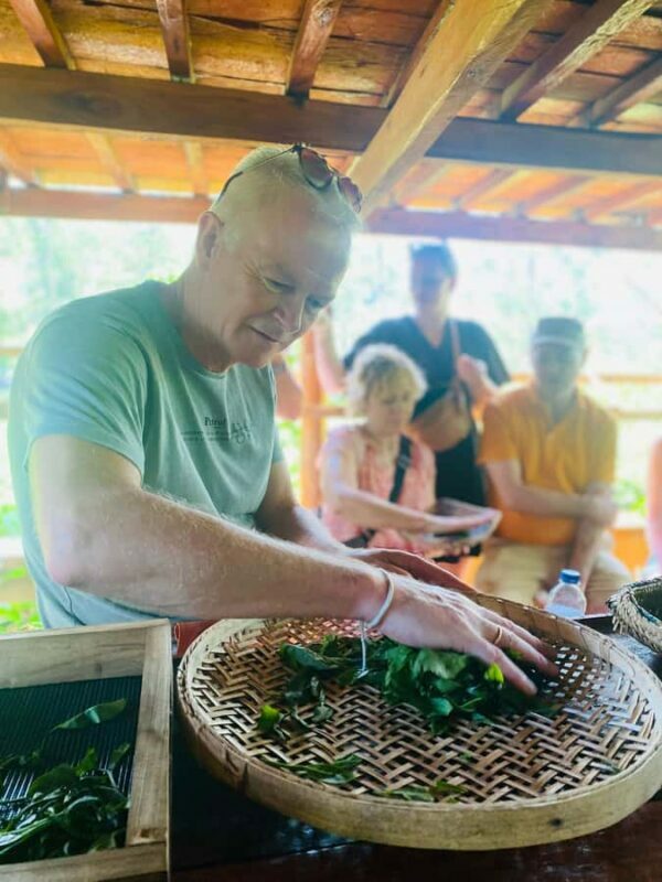 Ella: Tea-Making Experience Tour with Tasting & Snacks - Why You Should Consider This Tour