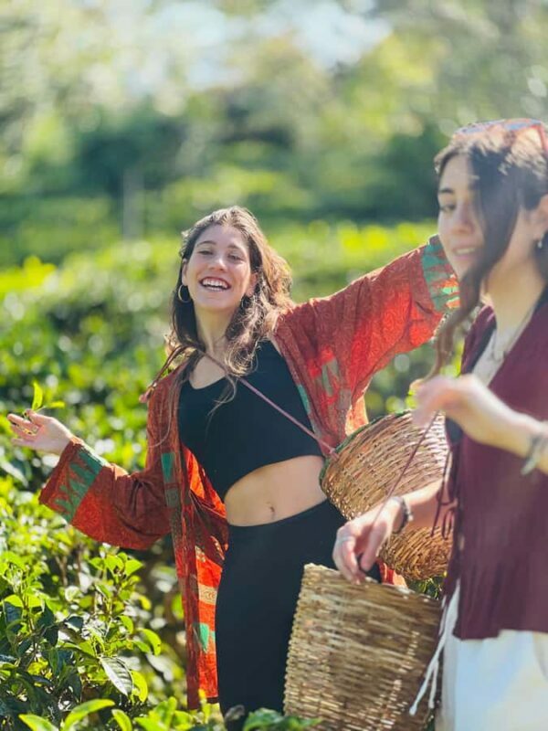 Ella: Tea-Making Experience Tour with Tasting & Snacks - Authenticity and Personal Touch