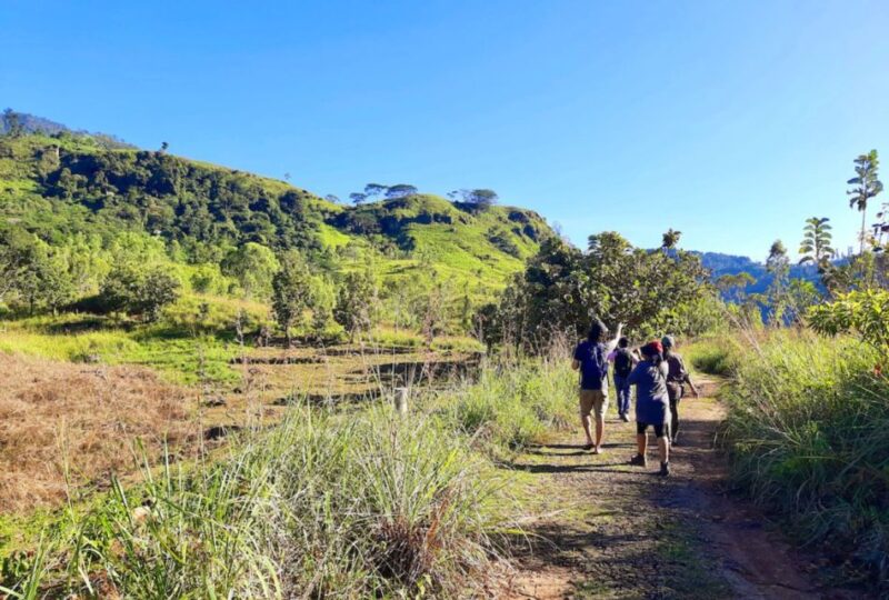 Ella to Demodara Trekking Adventure: Pekoe Trail - Stage 16 - Return Transportation Options