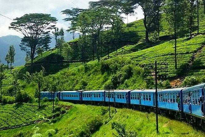 Ella to Kandy Train Ride on (Train No: 1006 Podi Menike) - Meeting and Pickup