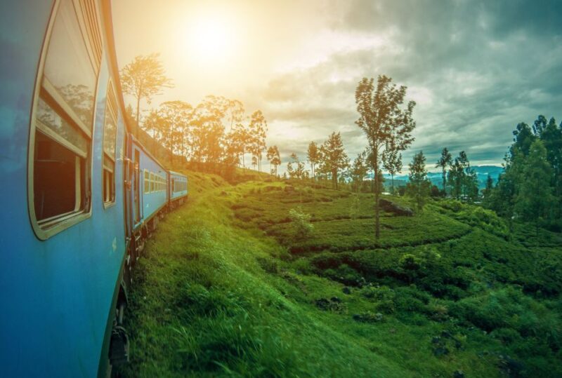 Ella Train Experience With Dip & Dine at Ravana Pool Club - Dining Experience Details