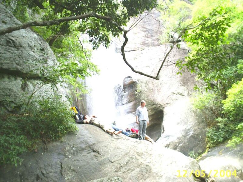 Ella-Trekking Through Forest Tea Plantation & Waterfalls - Key Points