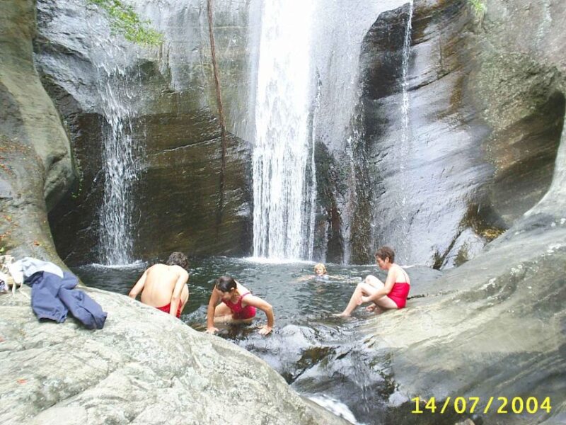 Ella-Trekking Through Forest Tea Plantation & Waterfalls - Itinerary - Day 1