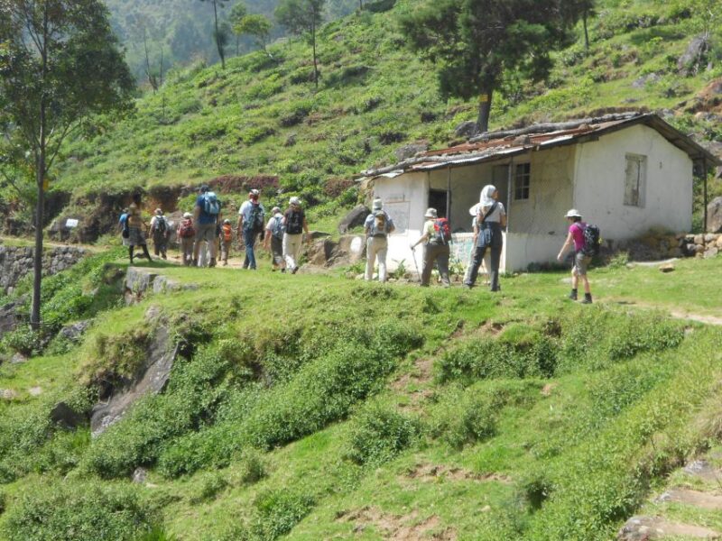 Ella-Trekking Through Forest Tea Plantation & Waterfalls - Experience Highlights