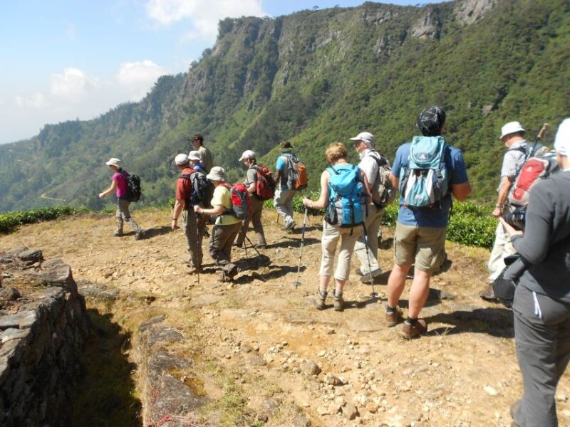 Ella-Trekking Through Forest Tea Plantation & Waterfalls - Inclusions