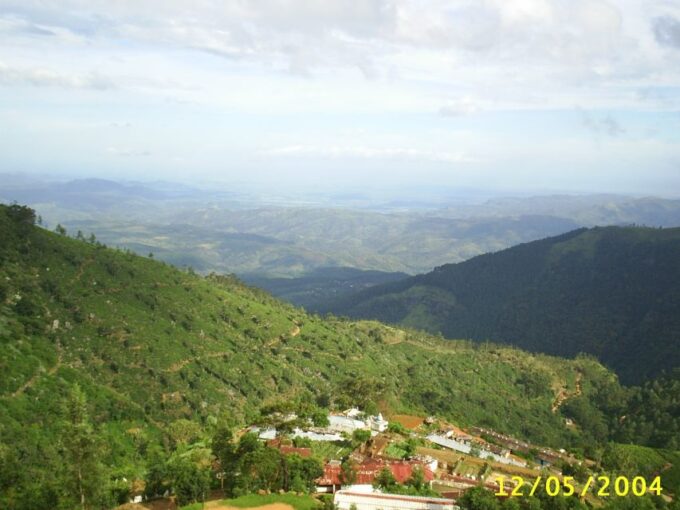 Ella-Trekking Through Forest Tea Plantation & Waterfalls - Group Size and Language