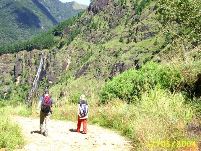 Ella-Trekking Through Forest Tea Plantation & Waterfalls - Recap
