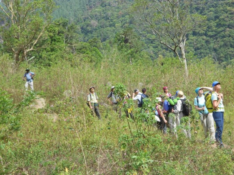 Ella : Trekking to Highest Waterfall Via Devil's Staircase - Key Points