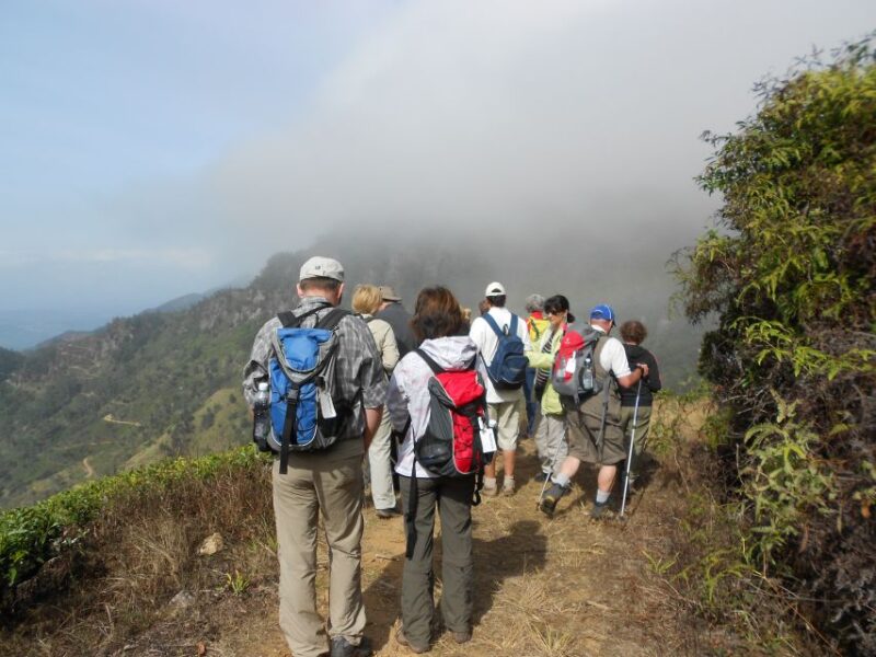 Ella : Trekking to Highest Waterfall Via Devil's Staircase - Highlights and Experiences