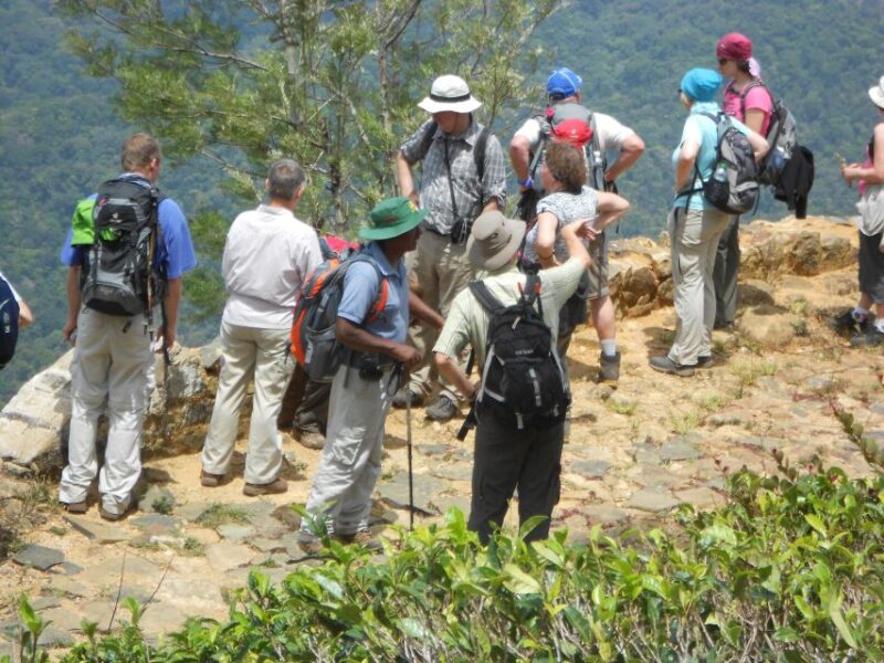 Ella : Trekking to Highest Waterfall Via Devil's Staircase - Inclusions and Transportation