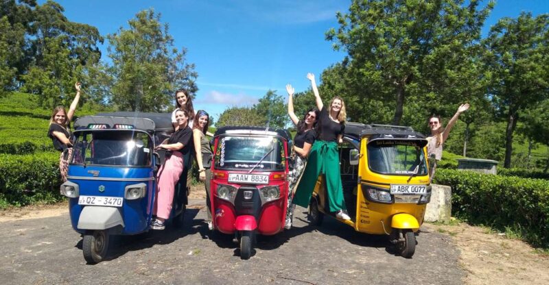 Ella: Tuk-Tuk Safari Day Trip and Tea Fields Hike With Lunch - Itinerary and Activities