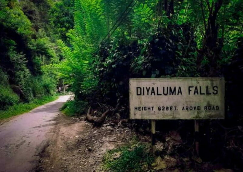 Ella: Tuk Tuk Tour to Diyaluma and Secret Waterfalls - An In-Depth Look at the Tour