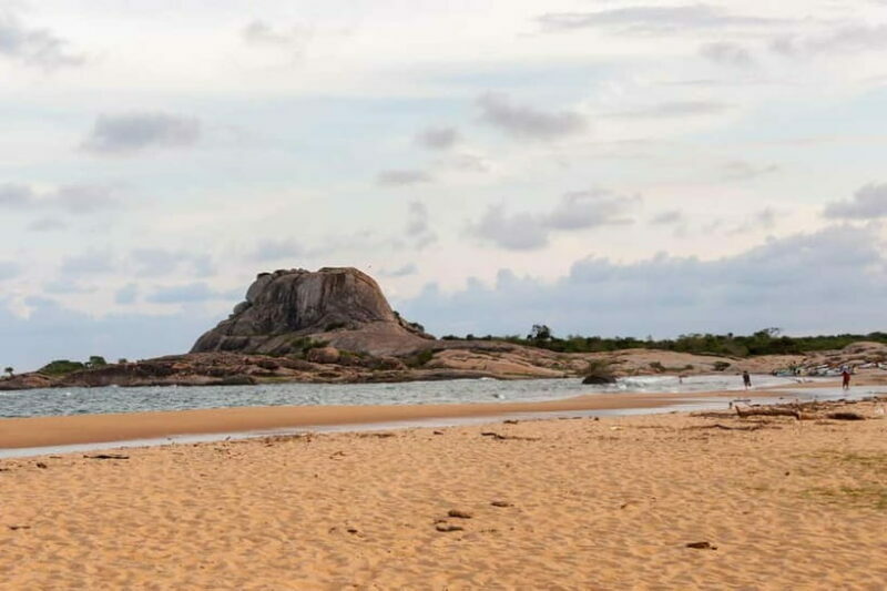 Ella - Udawalawa Safari - Drop to Mirissa/Weligama/Galle - Who is This Tour Best For?