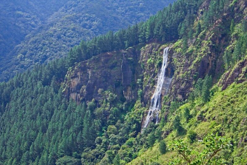 Ella:Bambarakanda Falls & Lanka Falls + Natural Pool Bath - Key Points