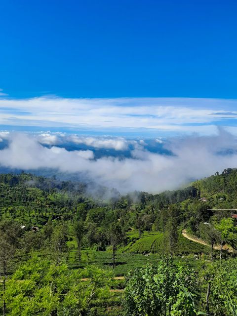 Ella:Bambarakanda Falls & Lanka Falls + Natural Pool Bath - Itinerary Highlights