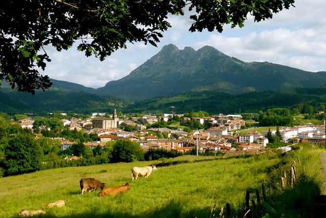Elorrio, Oñati and Arantzazu - Discovering Oñatis Historical University