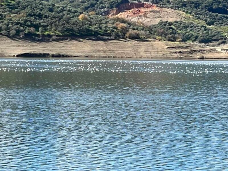 Elounda: Private Guided Tour, Zeus Cave, Lasithi Plateau - Lasithi Plateau