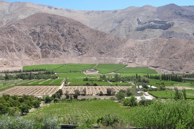 Elqui Valley and Vicuna Private Tour Including Lunch - Included in the Tour
