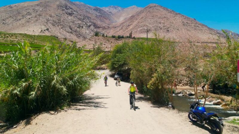Elqui Valley: Bike Tour - Biking Experience