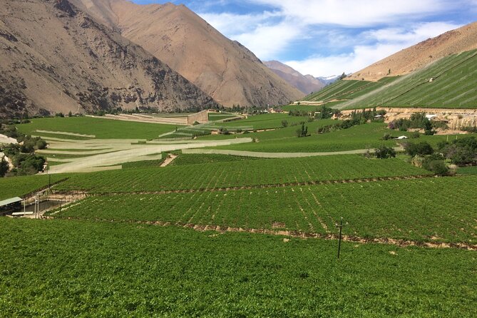 Elqui Valley Full Day Tour: Magical Towns, Pisco and Mountains - Key Points