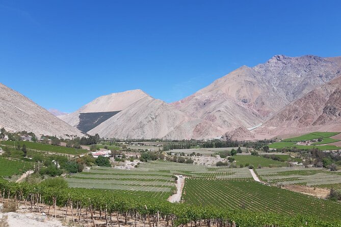 Elqui Valley Full Day Tour: Magical Towns, Pisco and Mountains - Exploring Diaguitas Art and Inca Legacy