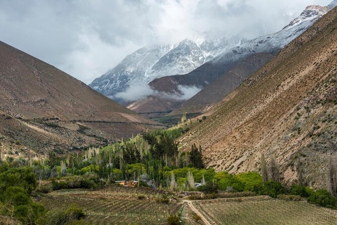 Elqui Valley - Short Excursion for Cruise Trips - Excursion Details