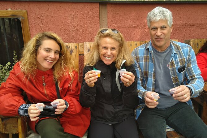 Elqui Valley - Short Excursion for Cruise Trips - Inclusions and Exclusions