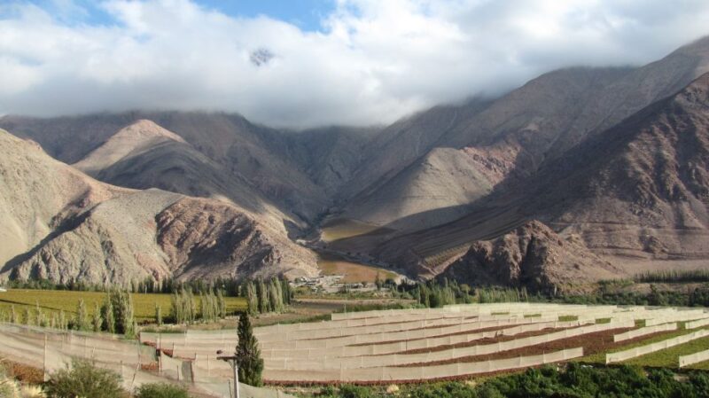 Elqui Valley Tour From La Serena - Itinerary Highlights