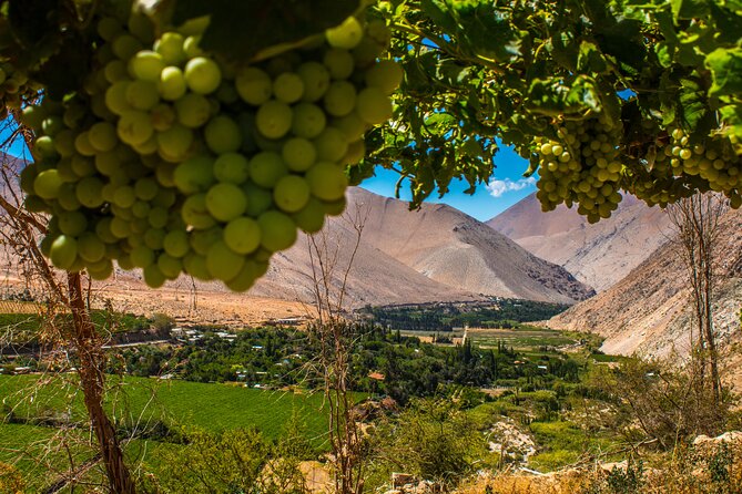 Elqui Valley Tour: Full Day History and Flavors - Itinerary Highlights