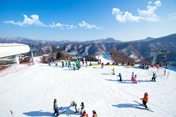 Elysian Gangchon Winter Ski with Nami Island Day Tour from Seoul - Key Points