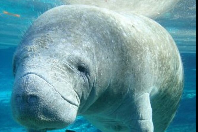 “Set out on a Professional and Passionate Scuba Diving Adventure! - Meeting and Pickup Information