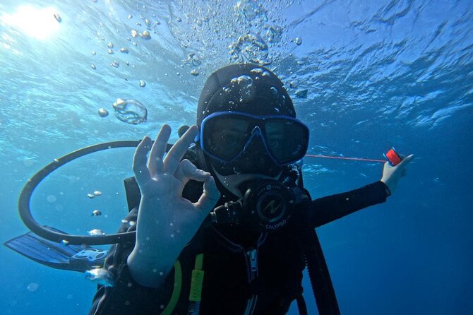 “Set out on a Professional and Passionate Scuba Diving Adventure! - Accessibility and Health Considerations