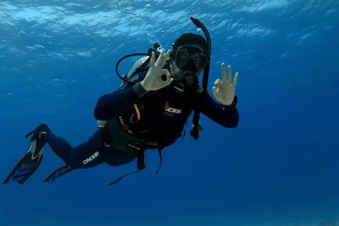 “Set out on a Professional and Passionate Scuba Diving Adventure! - Explore the Vibrant Mahahual