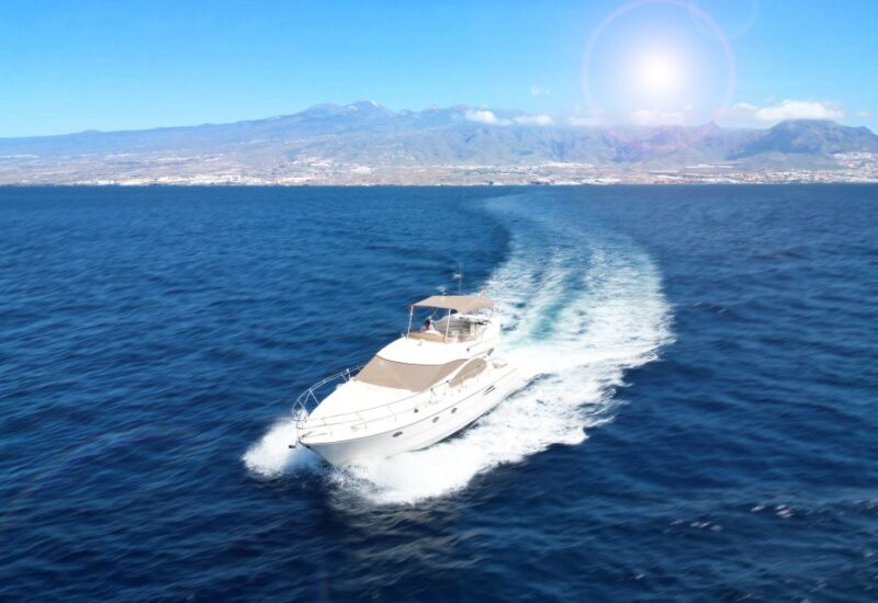 Embark on Ohh Lala Sailing Along the Southwest of Tenerife - Key Points