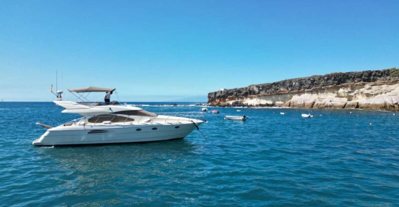 Embark on Ohh Lala Sailing Along the Southwest of Tenerife - Activity Details Explained