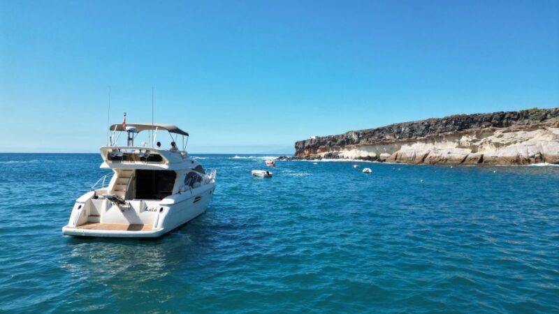 Embark on Ohh Lala Sailing Along the Southwest of Tenerife - Highlights of the Experience
