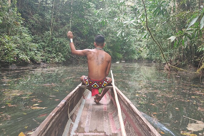 Embera Tribe & Waterfall Tour With Lunch for Groups - Discovering the Waterfall