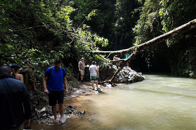 Embera Village and Waterfall Eco Tour With Private Guide - Pickup Information