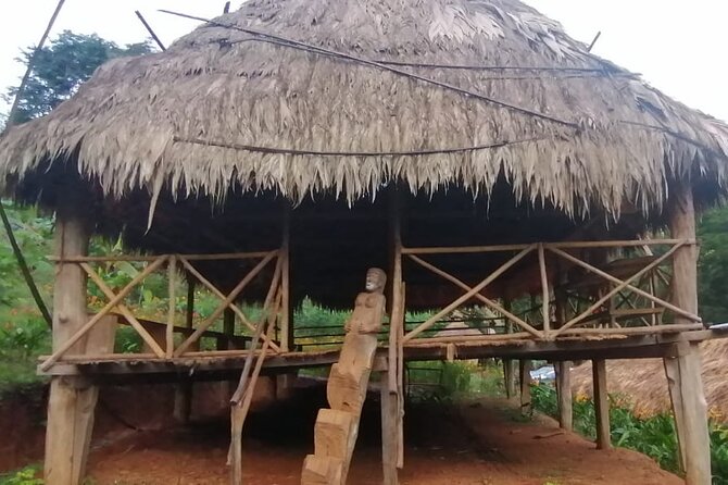 Emberá Village Overnight Tour - Tour Accessibility