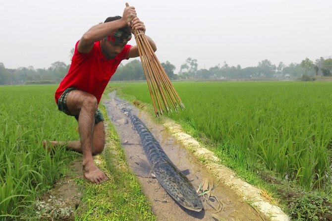 Embrace the Farmers Way: Dive Into the Paddy Farming Adventure - What to Bring and Additional Information