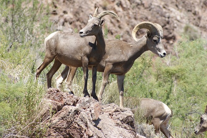 Emerald Cave Express Kayak Tour From Las Vegas - Customer Testimonials