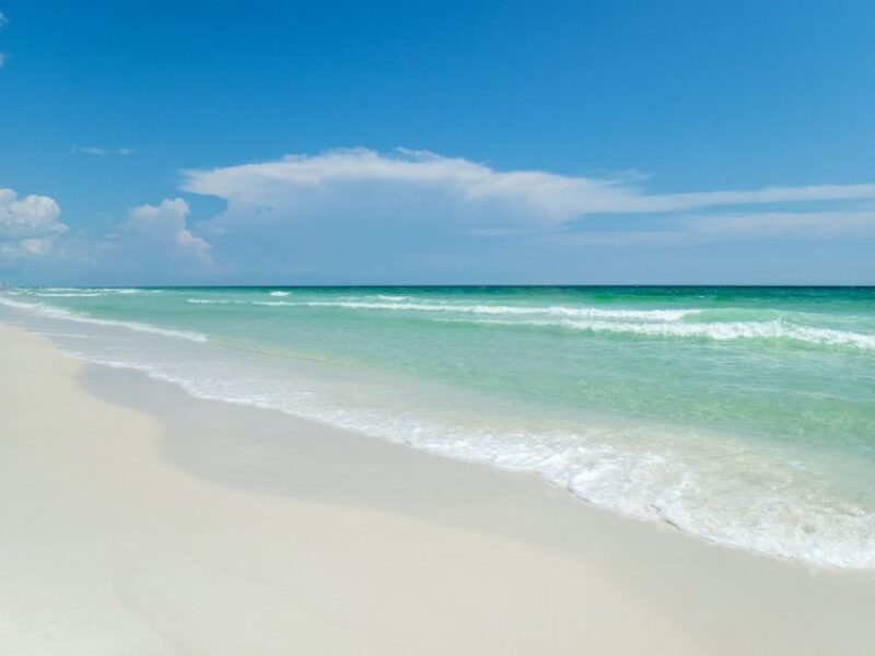 Emerald Coast: Afternoon Snorkel & Dolphin Tour - Key Points